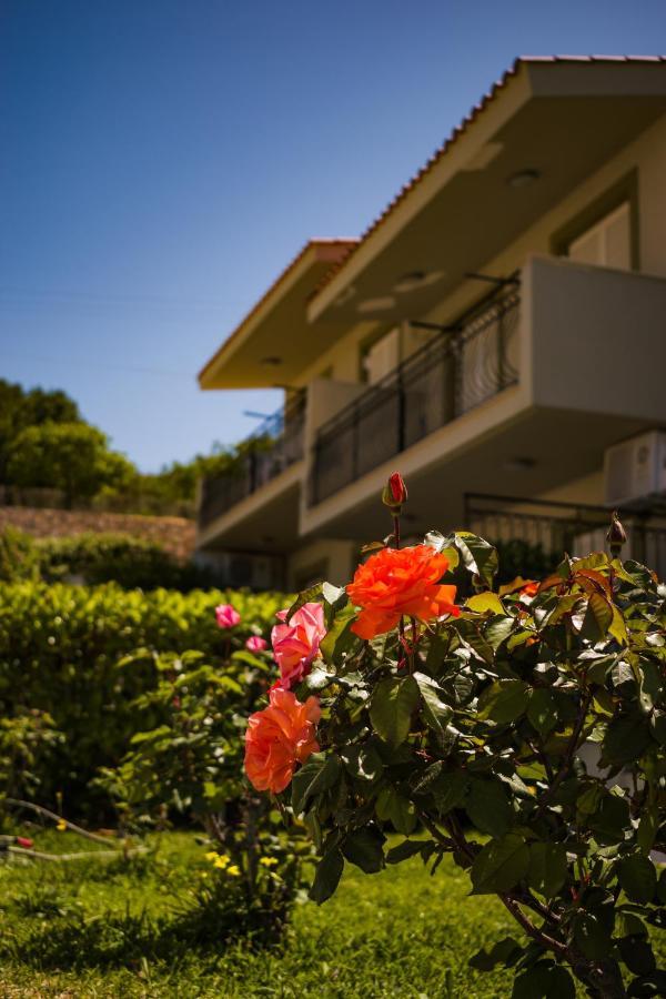 Apartment Meraki Lassi (Kefalonia)